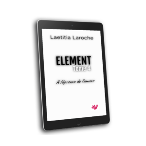 ELEMENT_IV_Laetitia Laroche llldavid